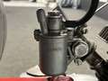 Benelli BENELLI Argent - thumbnail 18