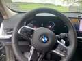 BMW X1 X1 xDrive20d Aut. xLine Grün - thumbnail 3