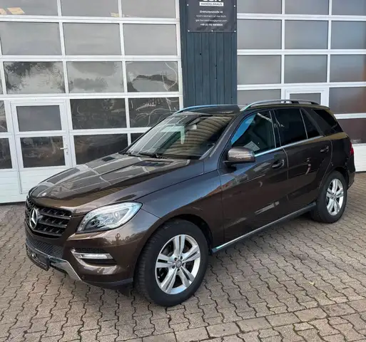 Mercedes-Benz ML 250 CDI BlueTec 4M/Lüft/Kame+PDC/Teilled/AHK