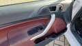 Ford Fiesta 1.25 Titanium Clima, Bluetooth, LMV, cruisecontr., Wit - thumbnail 11