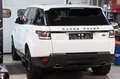 Land Rover Range Rover Sport RANGE ROVER SPORT HSE *PANO*LEDER*MERIDIAN*RKAM* Blanc - thumbnail 7