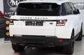 Land Rover Range Rover Sport RANGE ROVER SPORT HSE *PANO*LEDER*MERIDIAN*RKAM* Blanc - thumbnail 5