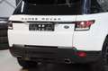 Land Rover Range Rover Sport RANGE ROVER SPORT HSE *PANO*LEDER*MERIDIAN*RKAM* Blanc - thumbnail 6