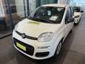 Fiat Panda 1.0 FireFly S&S Hybrid Blanc - thumbnail 1