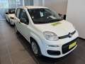 Fiat Panda 1.0 FireFly S&S Hybrid Blanc - thumbnail 3