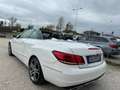 Mercedes-Benz E 220 E Cabrio 220 cdi Premium Navi +Led Full Top Bianco - thumbnail 6