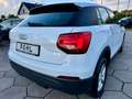 Audi Q2 1.6 TDI Sport ACC MMI PDC Weiß - thumbnail 5