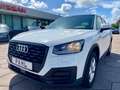 Audi Q2 1.6 TDI Sport ACC MMI PDC Weiß - thumbnail 1
