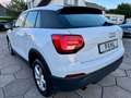 Audi Q2 1.6 TDI Sport ACC MMI PDC Weiß - thumbnail 8