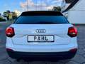 Audi Q2 1.6 TDI Sport ACC MMI PDC Weiß - thumbnail 6