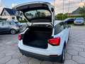 Audi Q2 1.6 TDI Sport ACC MMI PDC Weiß - thumbnail 7