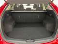 Mazda CX-5 2.5 SKYACTIV Sports-Line AWD/Tempo/LED/Navi Rot - thumbnail 20
