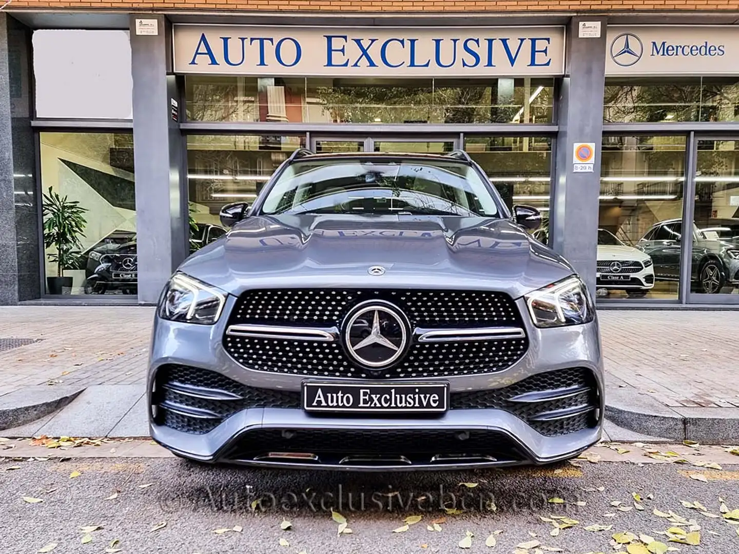 Mercedes-Benz GLE 350 350de 4Matic Aut. Gris - 2