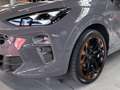 CUPRA Terramar 2.0 TSI VZ 4Drive DSG Navi Kameras Grau - thumbnail 6