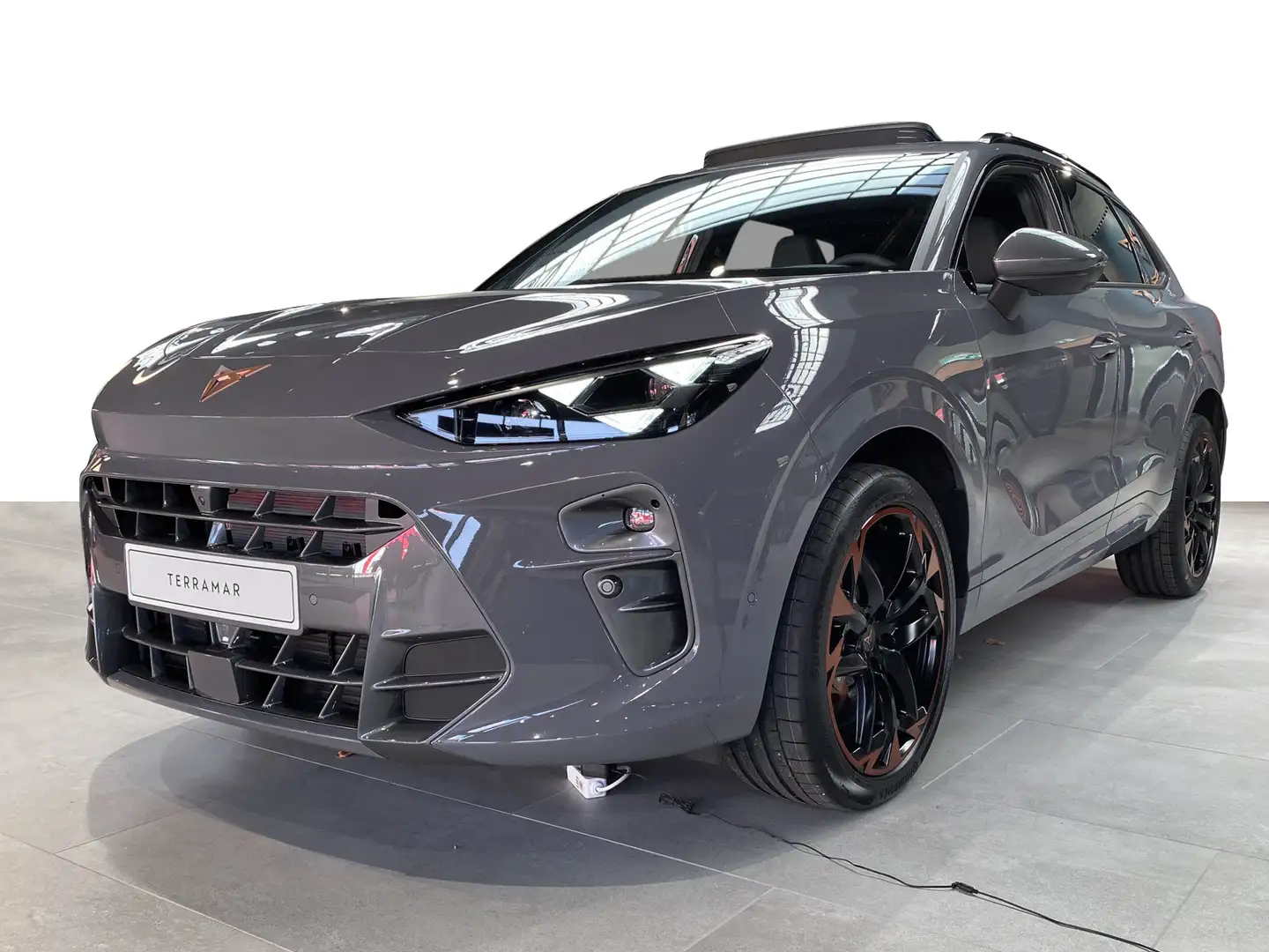 CUPRA Terramar 2.0 TSI VZ 4Drive DSG Navi Kameras Grau - 2