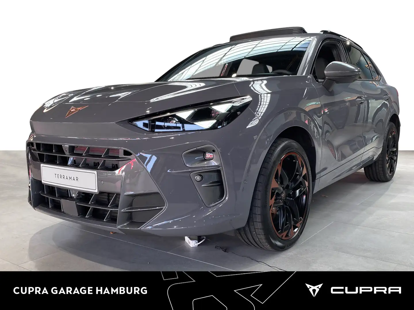 CUPRA Terramar 2.0 TSI VZ 4Drive DSG Navi Kameras Grau - 1
