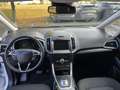 Ford Galaxy 2,0 EcoBlue Titanium Aut. Weiß - thumbnail 2