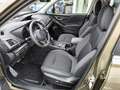 Subaru Forester 2.0ie e-Boxer Comfort mit OFFROAD-PAKET Grün - thumbnail 8