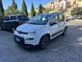 Fiat Panda 1.0 firefly hybrid City Cross s&s 70cv - thumbnail 1