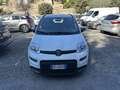 Fiat Panda 1.0 firefly hybrid City Cross s&s 70cv - thumbnail 2