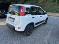 Fiat Panda 1.0 firefly hybrid City Cross s&s 70cv - thumbnail 4