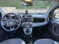 Fiat Panda 1.0 firefly hybrid City Cross s&s 70cv - thumbnail 7