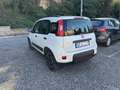 Fiat Panda 1.0 firefly hybrid City Cross s&s 70cv - thumbnail 5