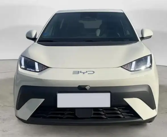 BYD Dolphin Surf Dolphin Surf 43,2 kWh Comfort