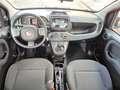 Fiat Panda Panda 1.0 firefly hybrid s&s 70cv 5p.ti - thumbnail 7