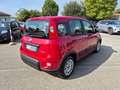 Fiat Panda Panda 1.0 firefly hybrid s&s 70cv 5p.ti - thumbnail 3