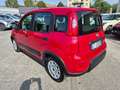 Fiat Panda Panda 1.0 firefly hybrid s&s 70cv 5p.ti - thumbnail 4