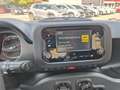 Fiat Panda Panda 1.0 firefly hybrid s&s 70cv 5p.ti - thumbnail 8