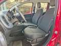 Fiat Panda Panda 1.0 firefly hybrid s&s 70cv 5p.ti - thumbnail 6