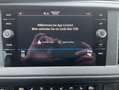 Volkswagen T6.1 Caravelle T6.1 Caravelle DSG Comfortline Leder/rote Folierun Rot - thumbnail 14
