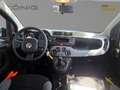 Fiat Panda Cross Spring MY22 1.0 GSE City Cross Schwarz - thumbnail 8