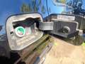 Fiat Panda Cross Spring MY22 1.0 GSE City Cross Schwarz - thumbnail 12