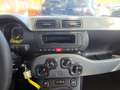 Fiat Panda Cross Spring MY22 1.0 GSE City Cross Schwarz - thumbnail 10