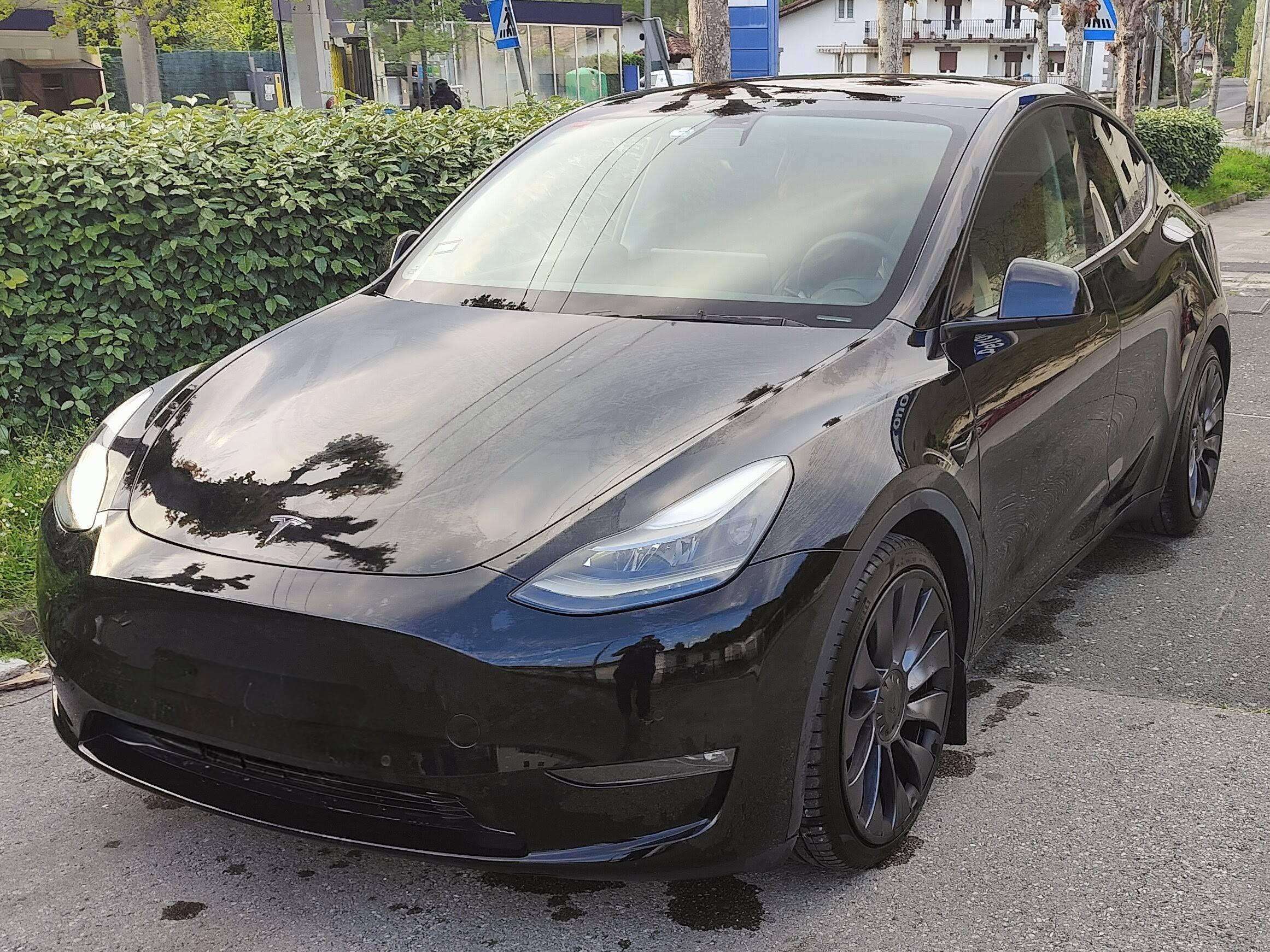 Tesla Model Y Model Y Performance AWD - foto 1