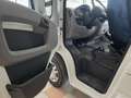 Fiat Ducato AUTOCARAVANA  ELNAG BARON 420L  130CV  4 PLAZAS - thumbnail 13