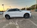 Audi Q8 45 TDI S-LINE TETTO APRIBILE Wit - thumbnail 4