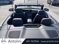 Mercedes-Benz C 220 d Auto Cabrio Premium "FARI LED MULTIBEAM" Gris - thumbnail 11