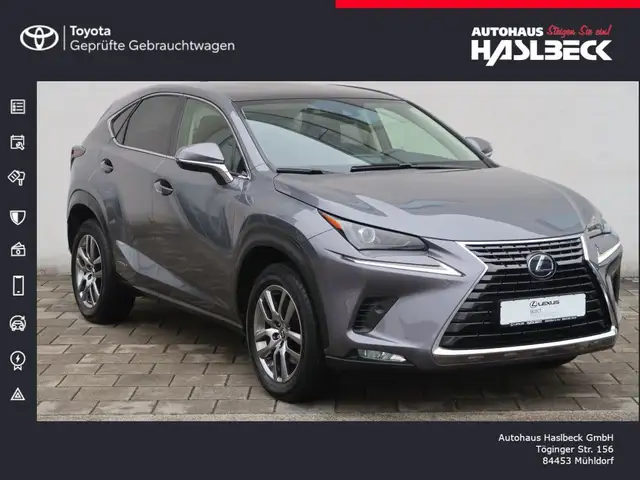 Lexus NX 300 300h E-FOUR Executive Line