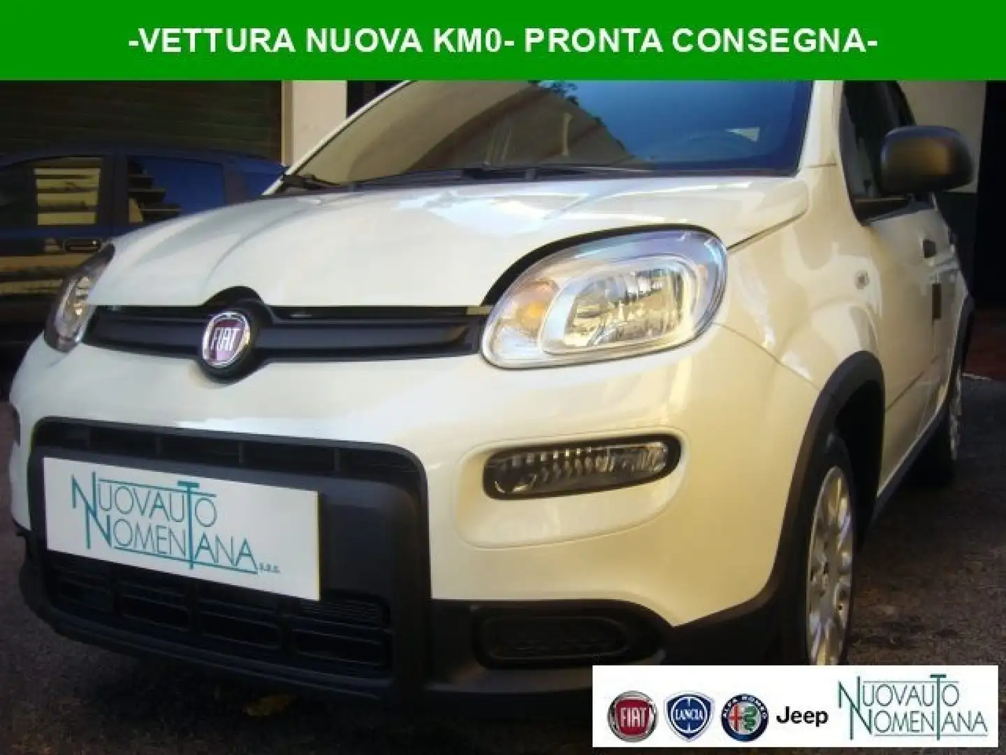 Fiat Panda 1.0 FireFly S&S Hybrid Pandina Urban Km 0 Bianco - 1