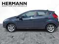 Ford Fiesta 1.0 EcoBoost Titanium LED*SHZ*SYNC*KlimaA Grijs - thumbnail 2