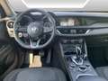 Alfa Romeo Stelvio Stelvio 2.2 t Business rwd 160cv auto Rosso - thumbnail 8