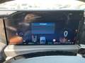 Ford Tourneo Active Bus 340 L1 PHEV FWD 8 Sitzer+LED Grau - thumbnail 15