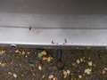 Peugeot Expert Tepee 2,0L 163Ps Silber - thumbnail 5