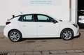Opel Corsa F 1.2 Elegance Virtual Navi Klima PDC Weiß - thumbnail 4