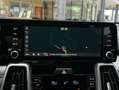 Kia Sorento 2.2 CRDi Platinium+Allrad+AT+7-Sitze+ Grau - thumbnail 16