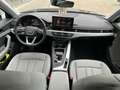 Audi A4 allroad A4 allroad 40 TDI 204 CV S tronic Business Grau - thumbnail 12